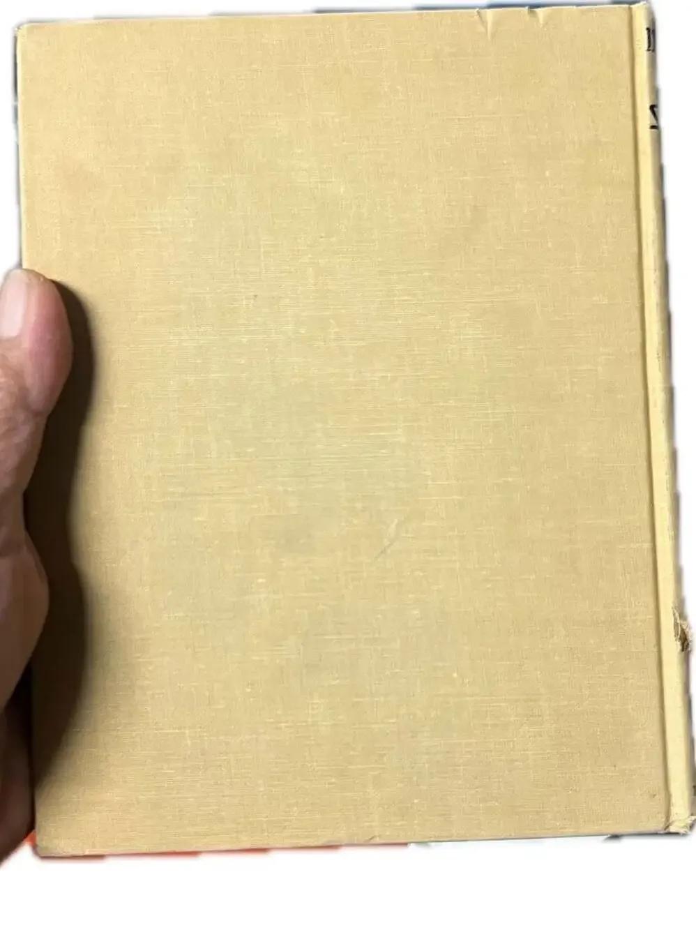 Illustrated Bible Stories Hyman E Goldin Doré Vintage Book